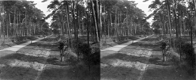 859081 Gezicht op een fietspad langs een onverharde bosweg, vermoedelijk in de omgeving van Zeist.